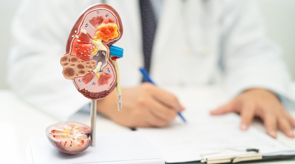 When to Visit a Urology Clinic in Abu Dhabi