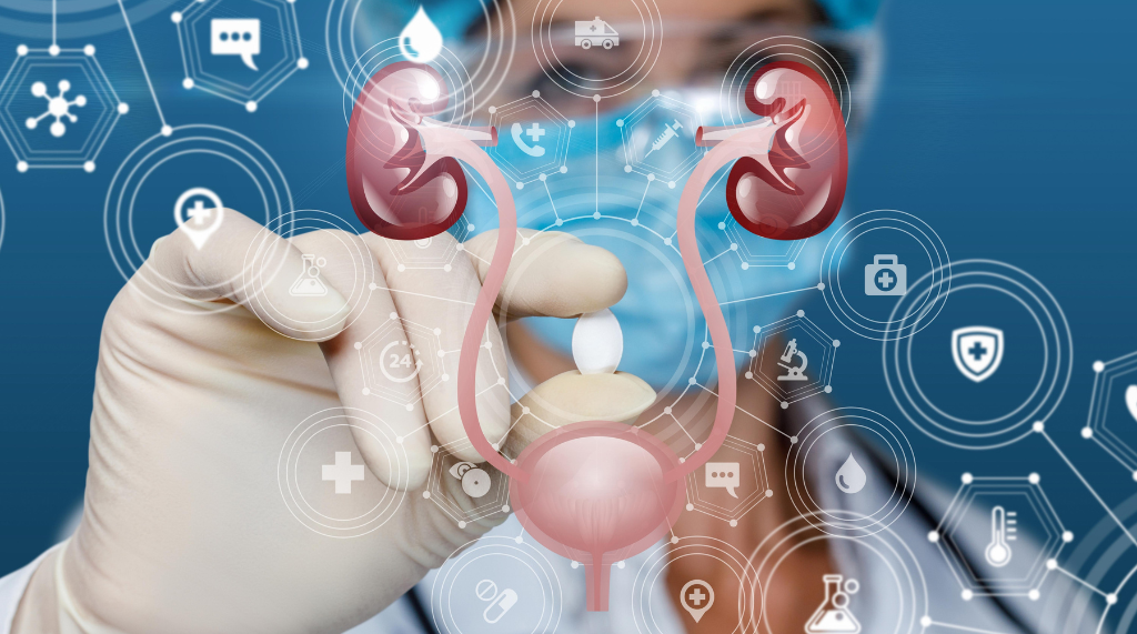 Maintaining Urinary Health