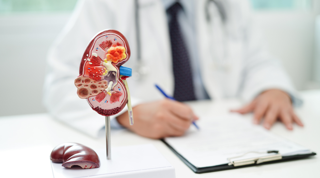 Kidney and Bladder Health
